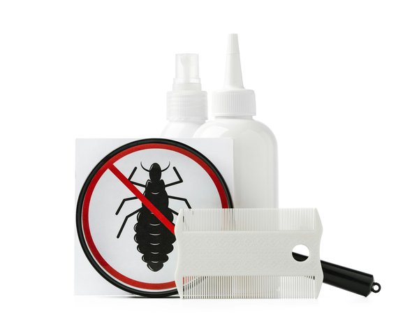 Découvrez les solutions efficaces anti-nuisibles à bordeaux